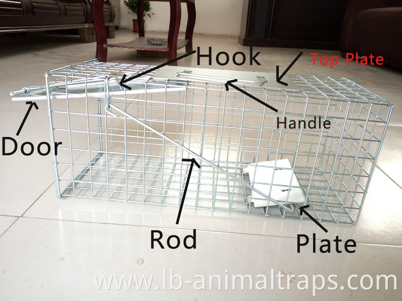 Liebang High Quality Low Price Ground Squirrel Trap Cage Squirrel Trapping Tools